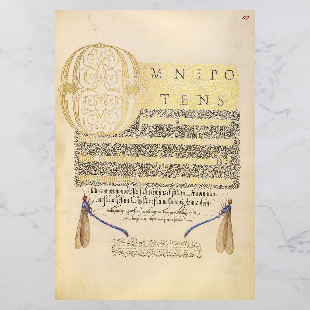 Mira Calligraphiae Monumenta - Getty Museum Store